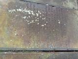 image of grave number 810720